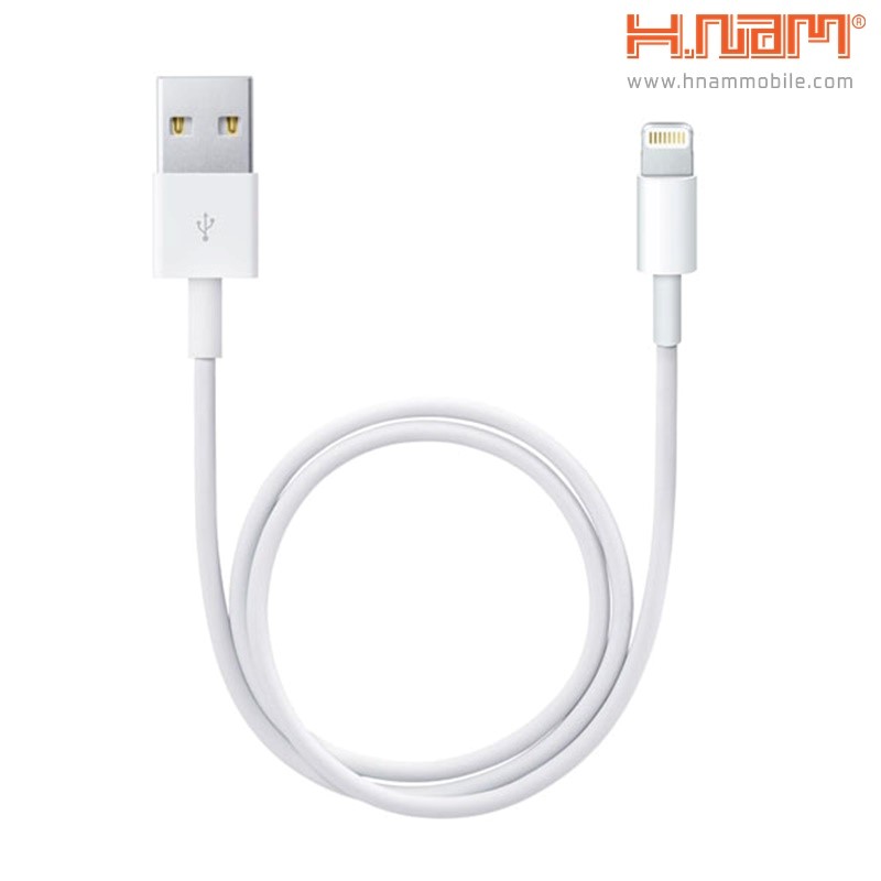 Apple Cable Lightning