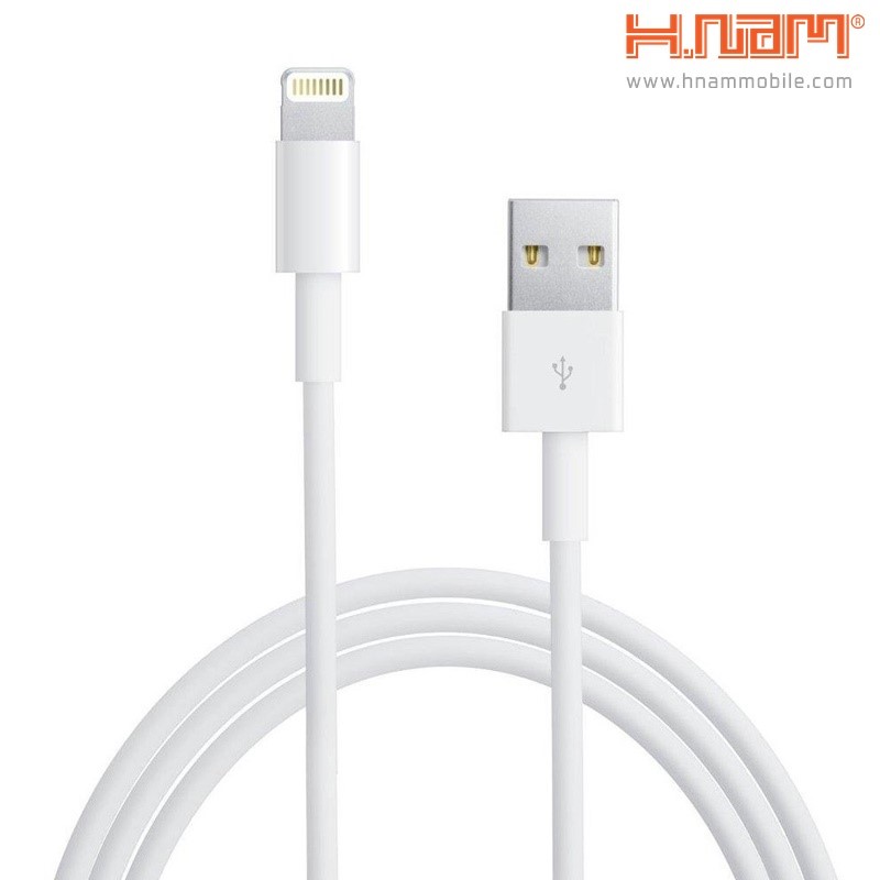 Apple Cable Lightning