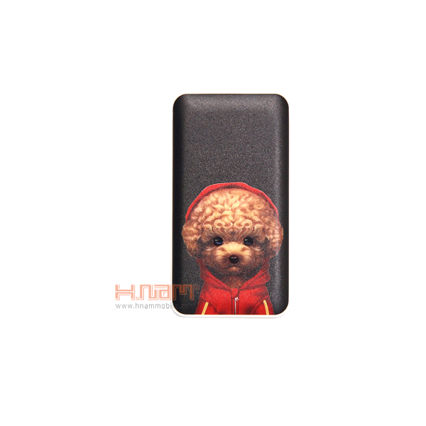 Pin dự phòng LeoLeo DY-01 10000mAh