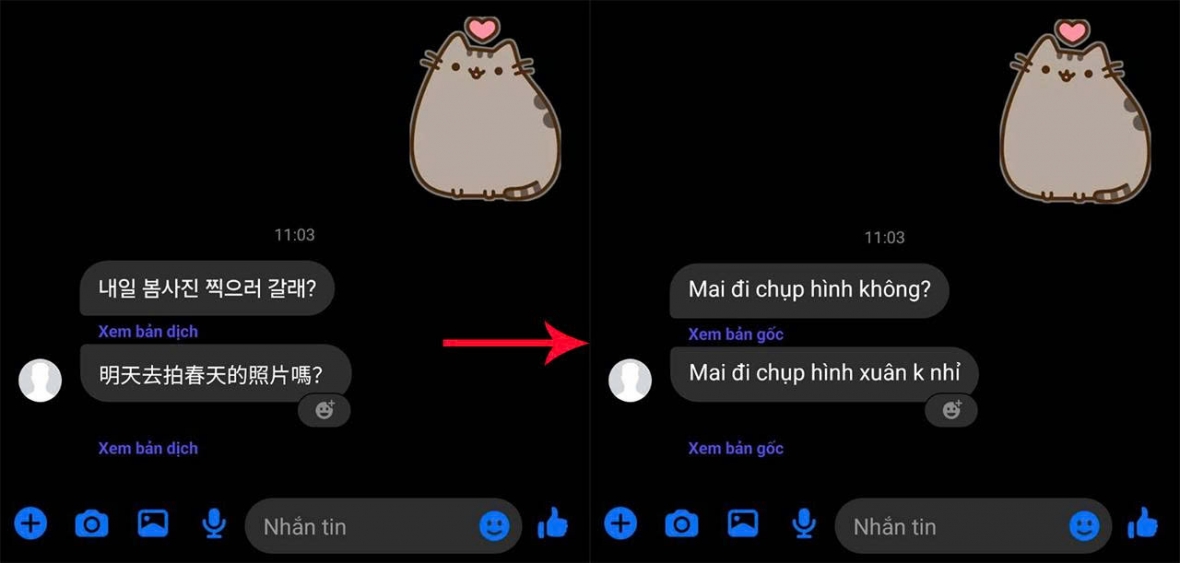 Xem kết quả dịch