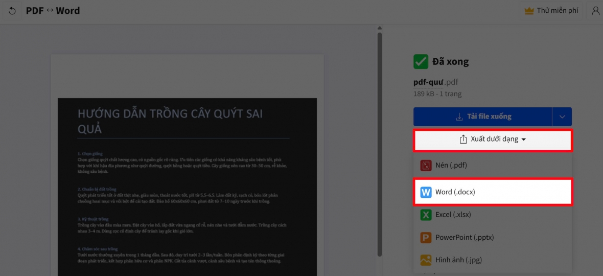 Xuất nội dung thành file Word