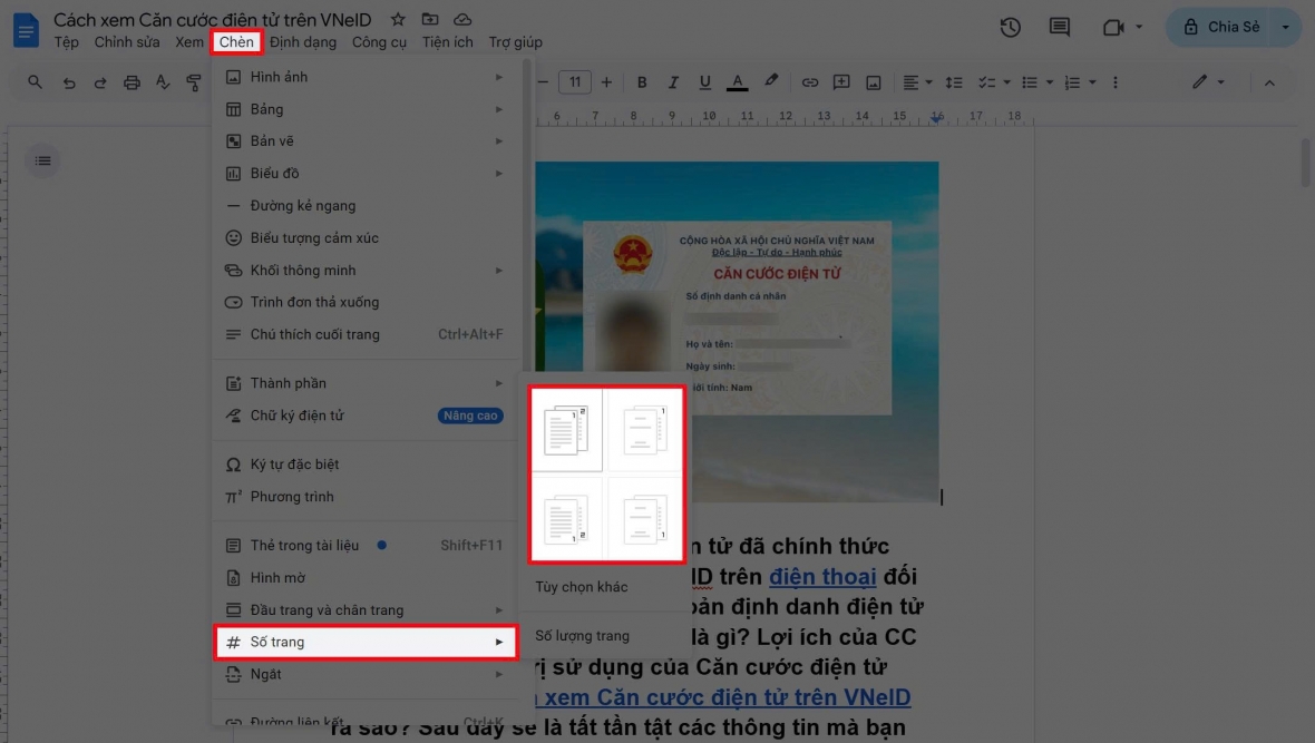 Lựa chọn các kiểu mẫu