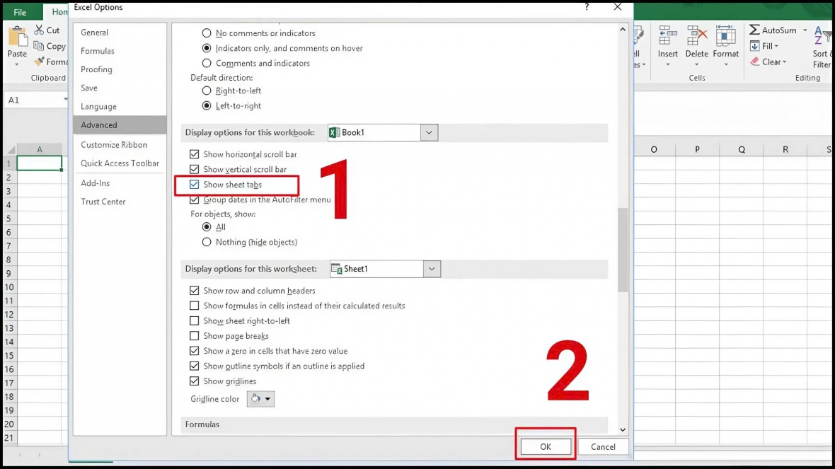 Tìm đến mục Display options for this workbook