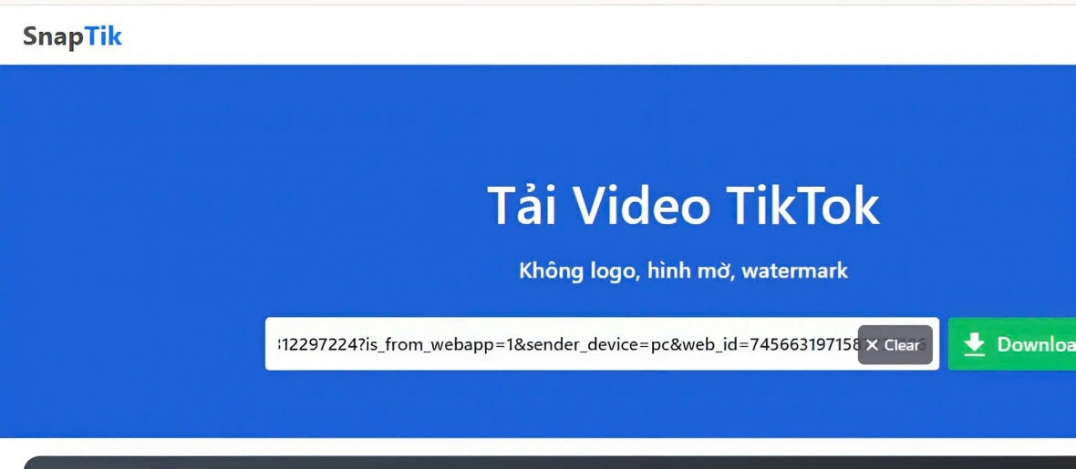 Dán link vào SnapTik