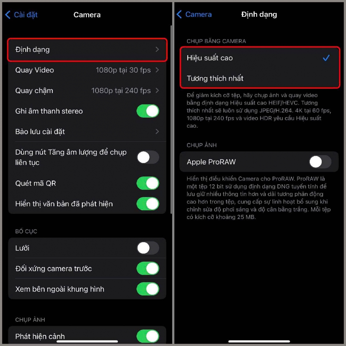 Cấu hình định dạng video