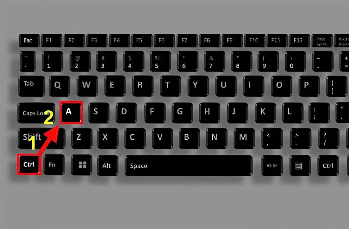 Ctrl + A