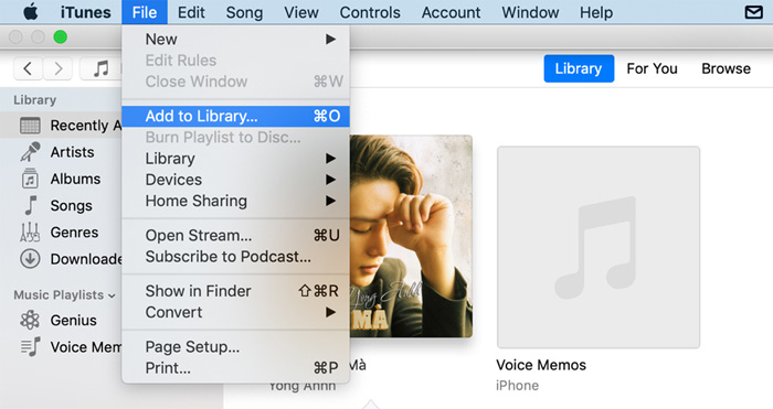 Chọn bài hát yêu thích để thêm vào iTunes