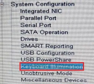 Nhập System Configuration rồi nhấn Enter và chọn Keyboard Illumination