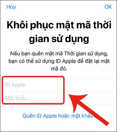 Nhập đúng ID Apple và mật khẩu ID Apple