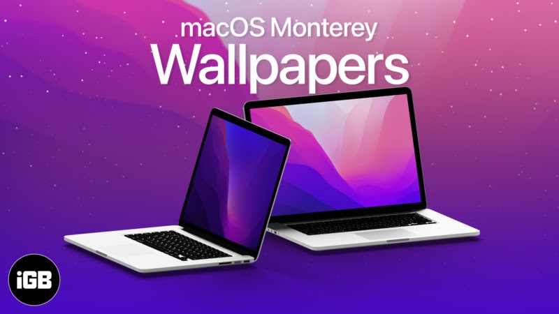 macOS Monterey Wallpapers  Papel de parede terra