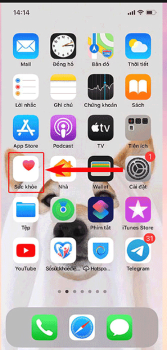 Nhấn vào biểu tượng ứng dụng Sức khỏe trên iPhone