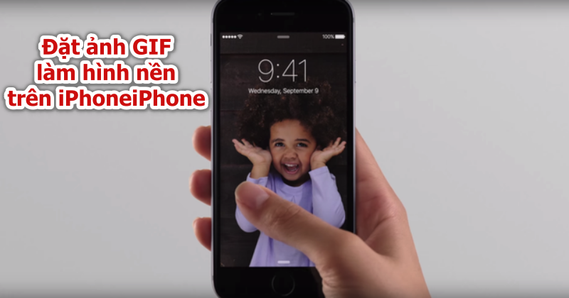 Top 10 cách để ảnh gif làm hình nền điện thoại iphone đẹp và độc đáo nhất