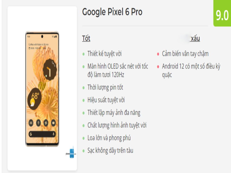 Google Pixel 6 và Pixel 6 Pro