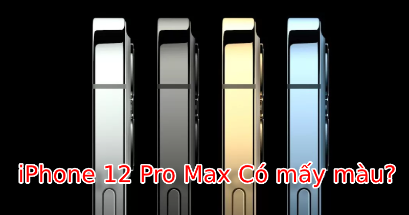 iPhone 12 Pro Max có mấy màu?