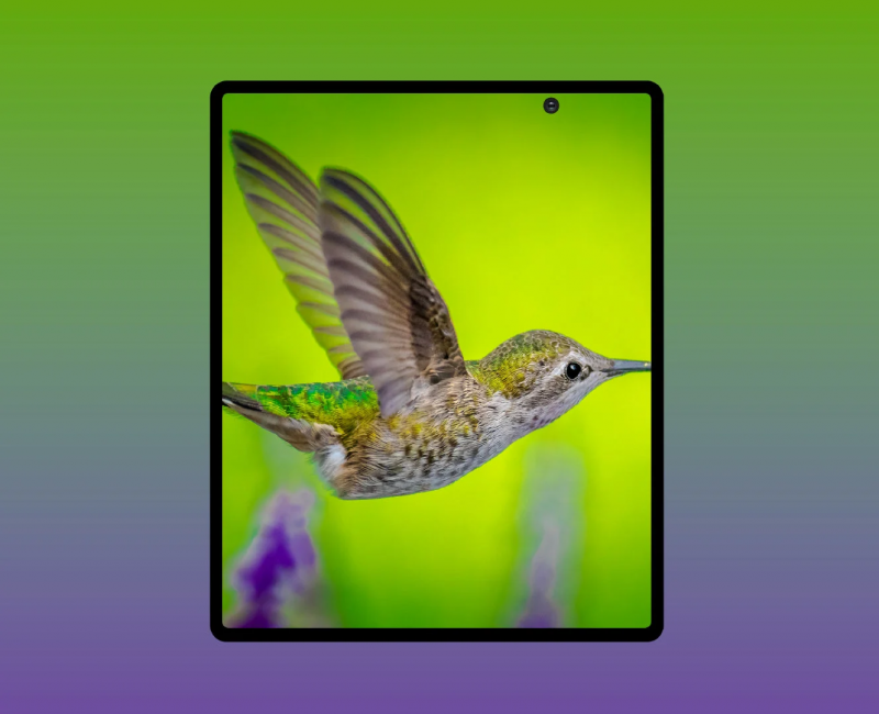 slider 1