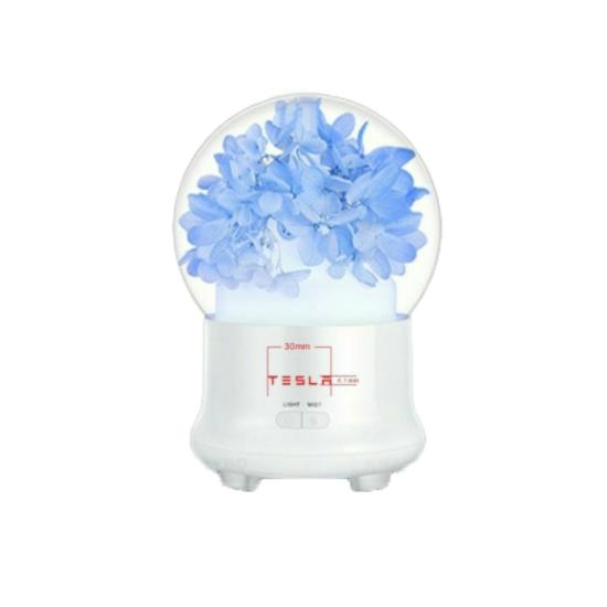 Thiết Bị Xông Tinh Dầu Tesla Tú Cầu (TL016) 100ml