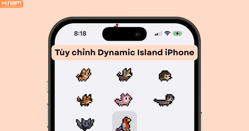 Hướng dẫn tùy chỉnh Dynamic Island trên iPhone đẹp và độc đáo nhất