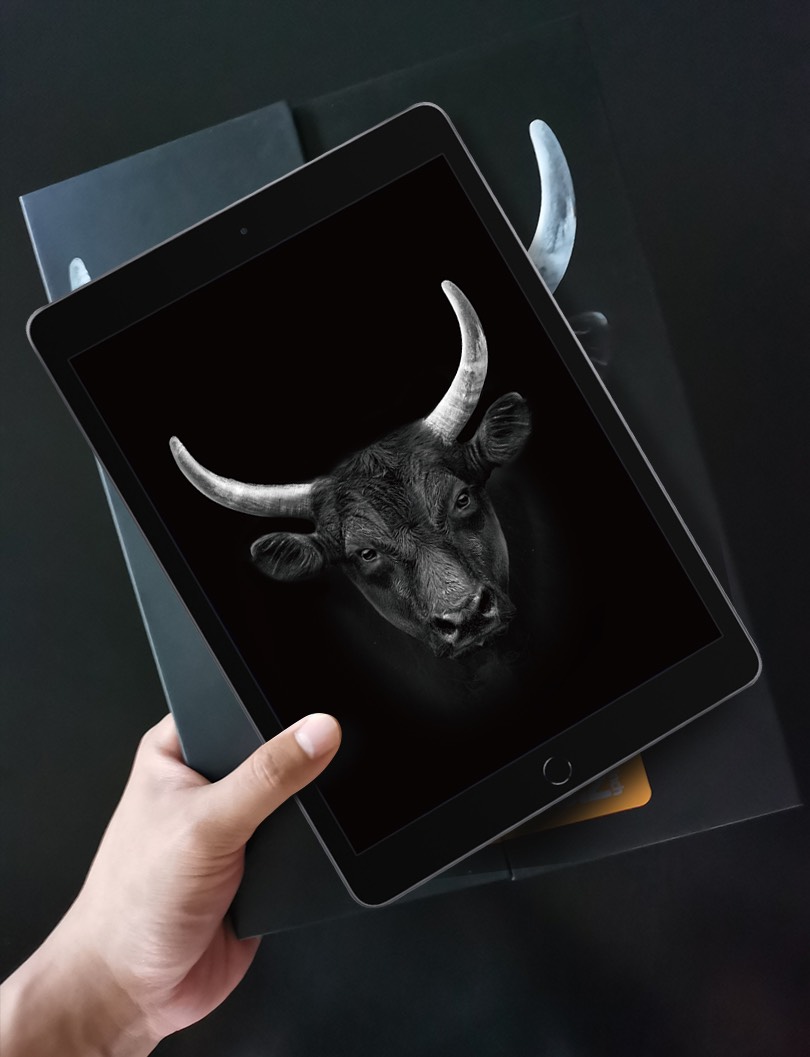 Dán cường lực Mipow Kingbull iPad Pro 12.9 (BJ204B)