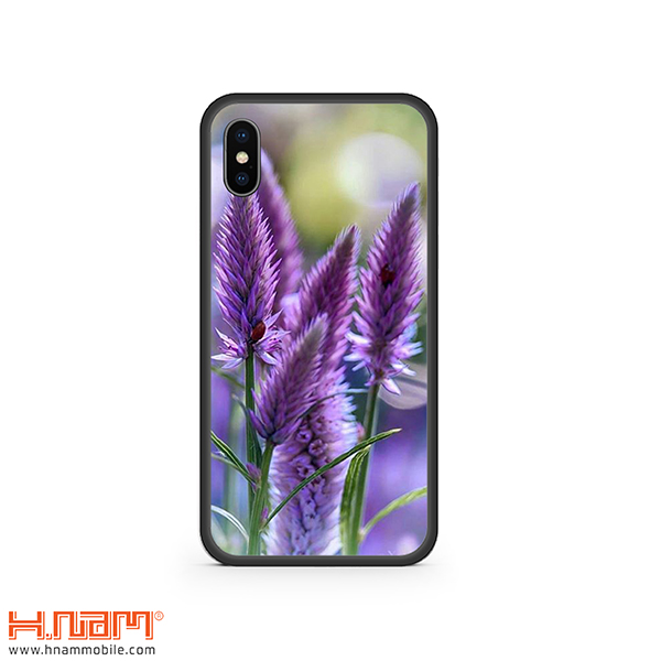 iPhone X/Xs/Xs Max Hoa 7